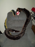 BOTH MY PET ANACONDAS!!!