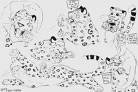 Haswell and Snep 4