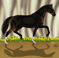 Hannovaranian Show Trot