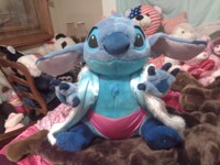 Royal Stitch the Softie King