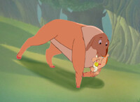 Middle of the forest