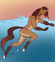 Swimming Horse