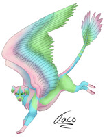 Jolly the Griffen dog