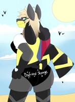 A day at the beach (3/3)