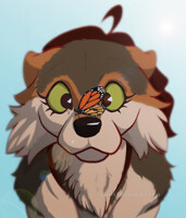 Nadja - The butterfly effect - color