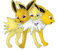 Jolteon Cerberus