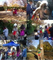 Boo At The Zoo
