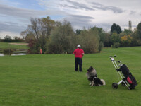 Aaron on the golf course
