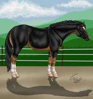 Just Terrific Toggenberg