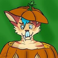 Pumpkin fur halloween