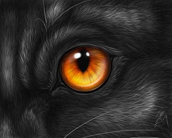 Dragon eye [Commission] by nubilum93 -- Fur Affinity [dot] net