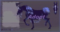 AUCTION Horse adopt сlosed