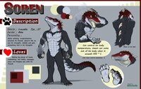 Soren SFW reference sheet 2019