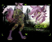 COMMISSION