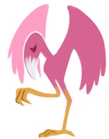 Pink Mean Bird
