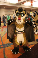 [PHOTO] - BLFC19