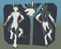 Mountain Wolf Adopt (CLOSED)