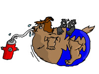Water inflated Tofer