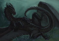 Black beauty (С)