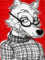 fashion legosi