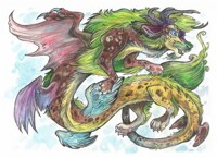 Ragard The Wingly Dragon