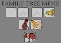 RM Meme - Family Tree - Kaseko