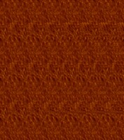 Thaylen Stereogram