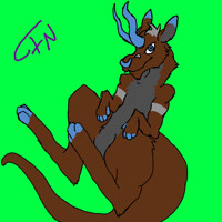 Francis the Kangaroo