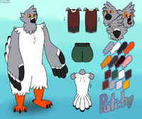 [REF] Patchy's Redesign