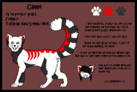 Caine ref