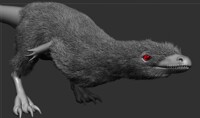 Compsognathus