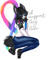 I Support Gay Pride
