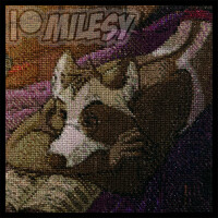 [FO] Late Night Reading