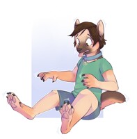 COM Collared