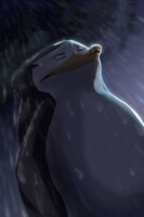 +PoM+ This is just rain, not tears