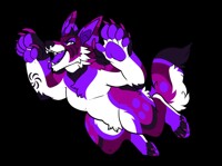 Pouncy Werewolf!