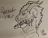 On the Fly Portrait - Percival