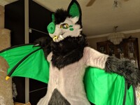 Pose for the camera!