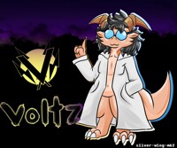 Kobold Voltz