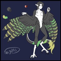 Harpy Boy