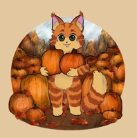 Pumpkin Patch Cat