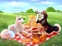 Picnic