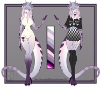 ~Design Entry for Duccidraws~
