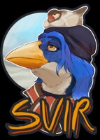 Svir badge