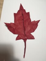 Maple Leaf