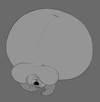 Bloated