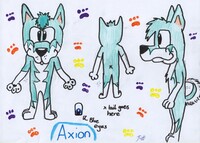 Axion Ref