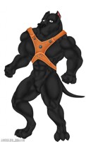 Presa canario