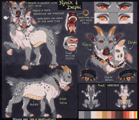 Nyoix & Delphi Reference sheet '19