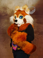 Red Panda Partial For Sale